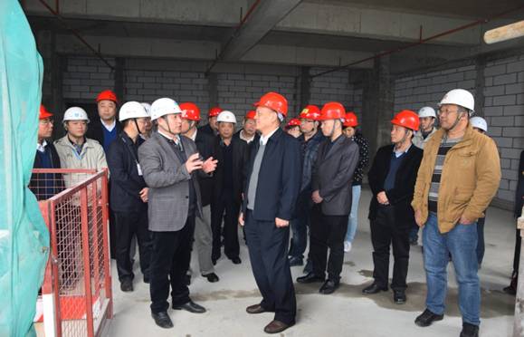 廣東省政協(xié)領導到方大城項目專題調(diào)研